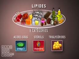 Steroids are lipids derived from cholesterol